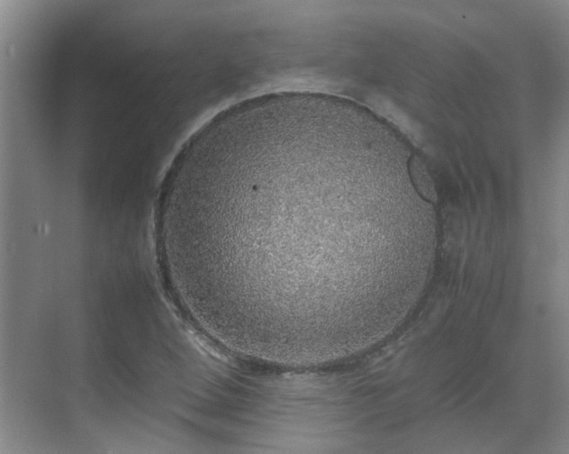 X0000070411264200606121320