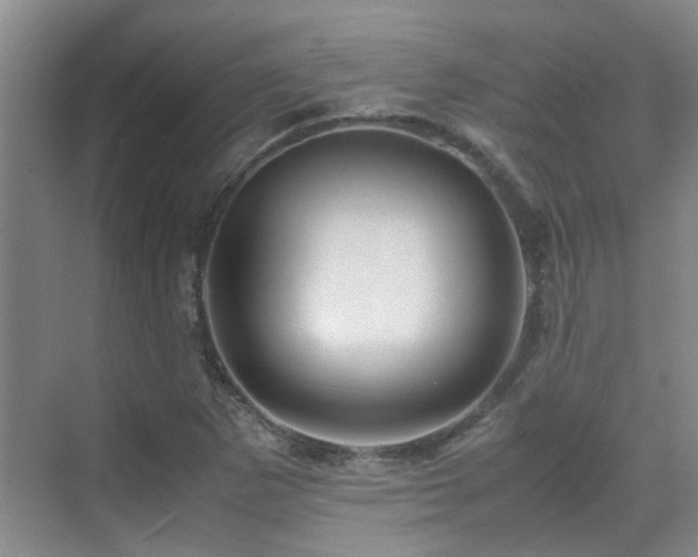 X0000070411265200606121320