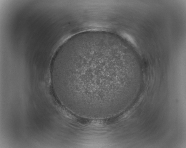 X0000070411267200606121320