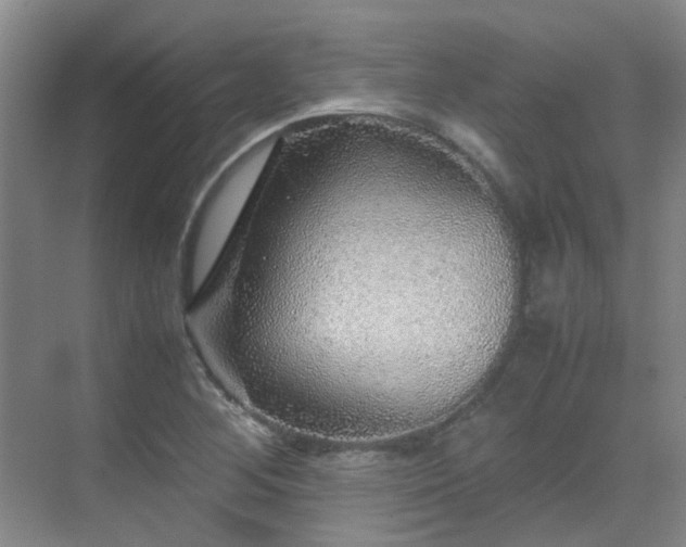 X0000070411268200606121320