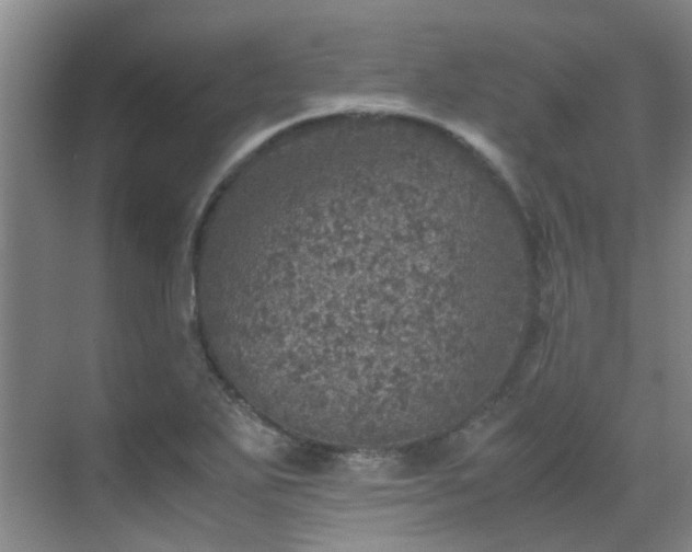 X0000070411271200606121320