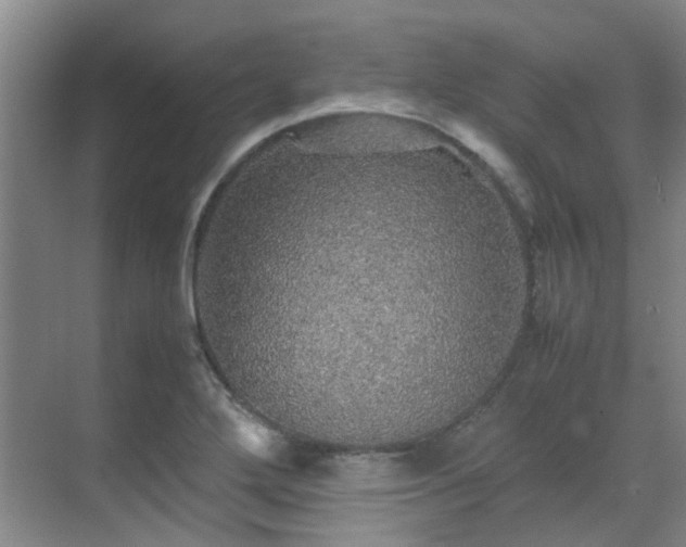 X0000070411272200606121320