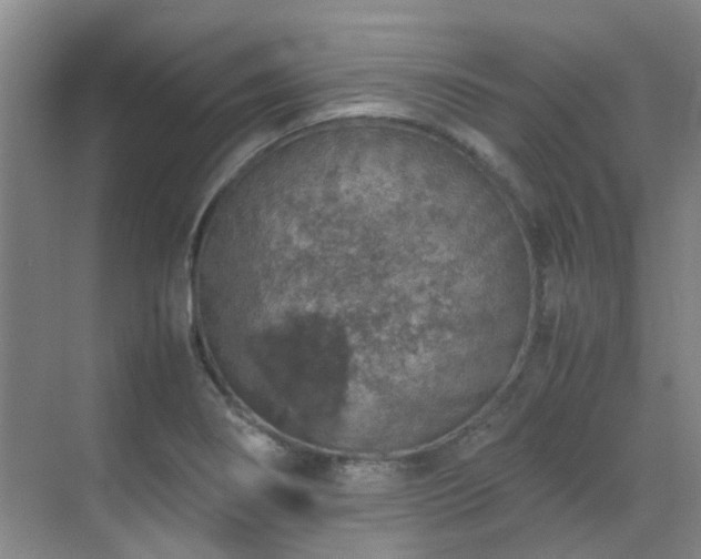 X0000070411274200606121320