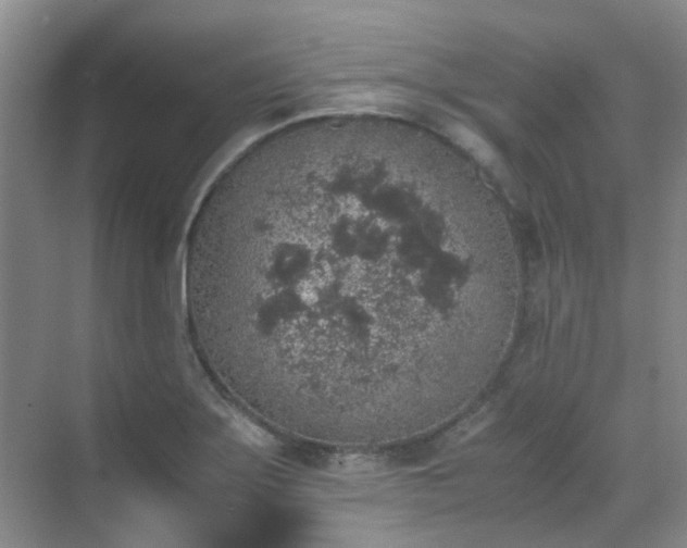 X0000070411275200606121320