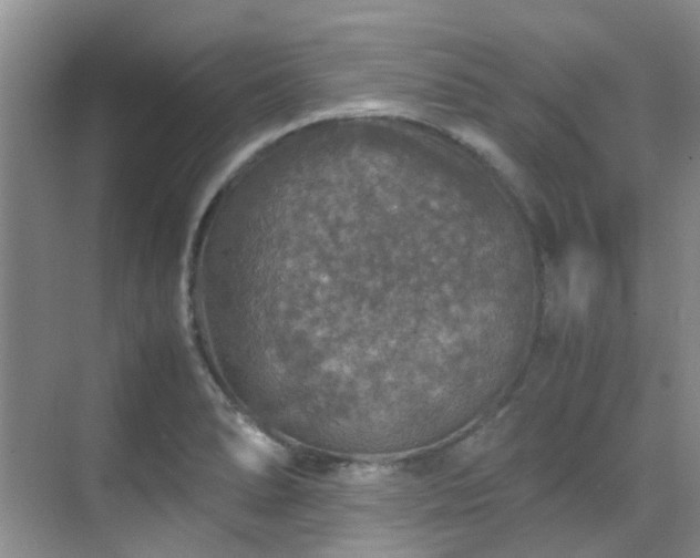 X0000070411278200606121320