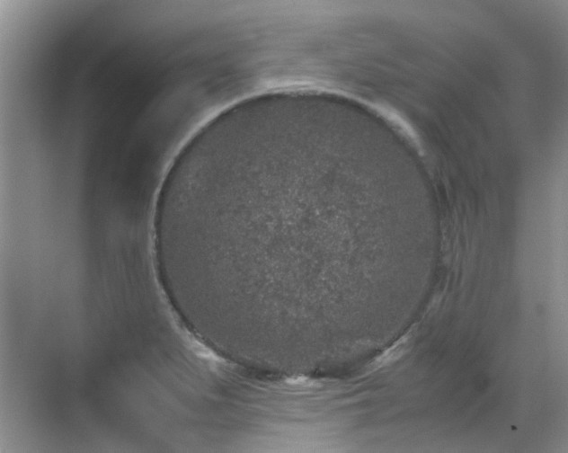 X0000070411279200606121320