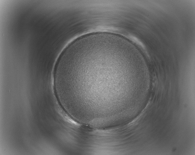 X0000070411280200606121320