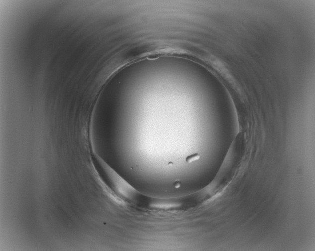 X0000070411281200606121320