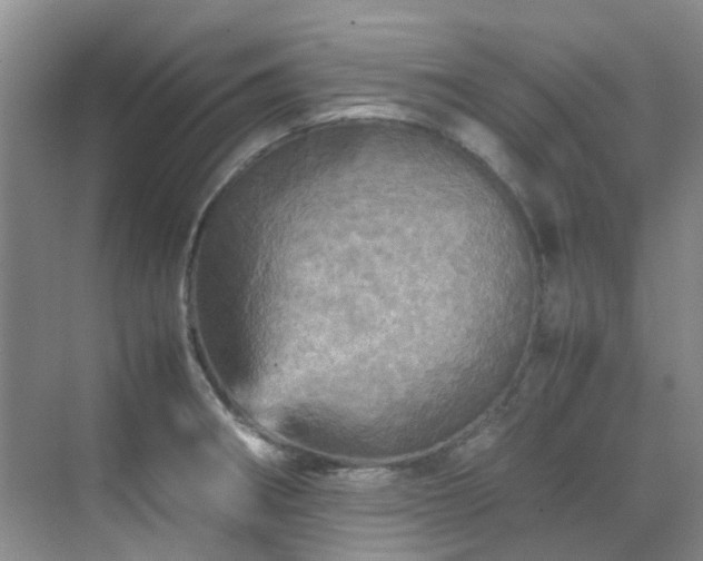 X0000070411282200606121320