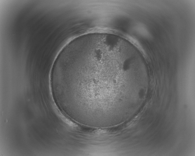 X0000070411283200606121320