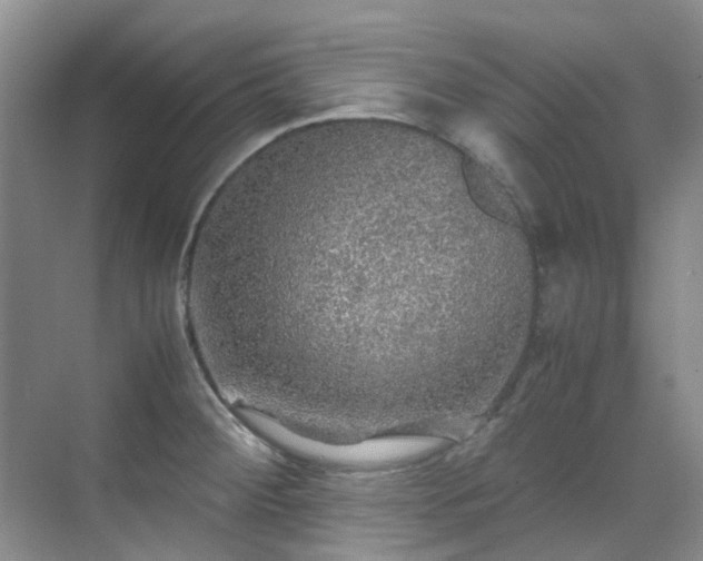 X0000070411284200606121320