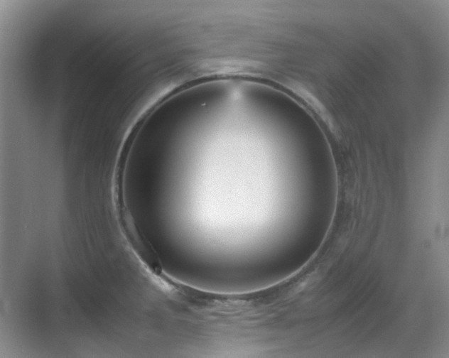 X0000070411285200606121320