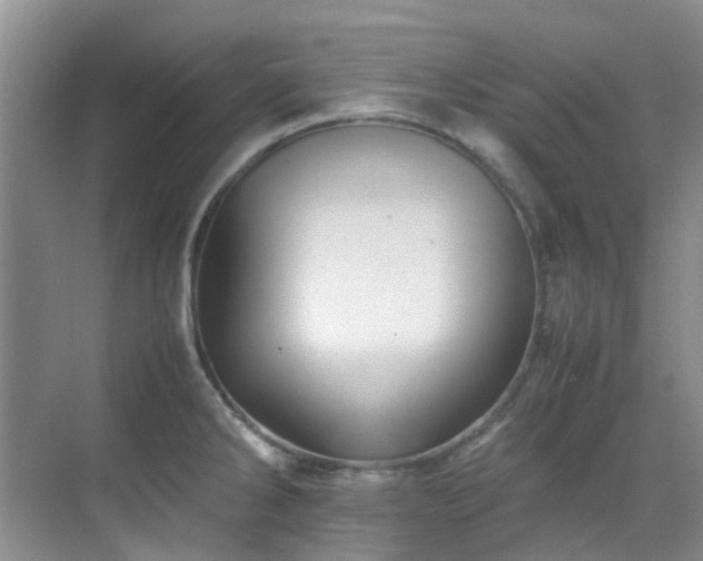 X0000070411286200606121320