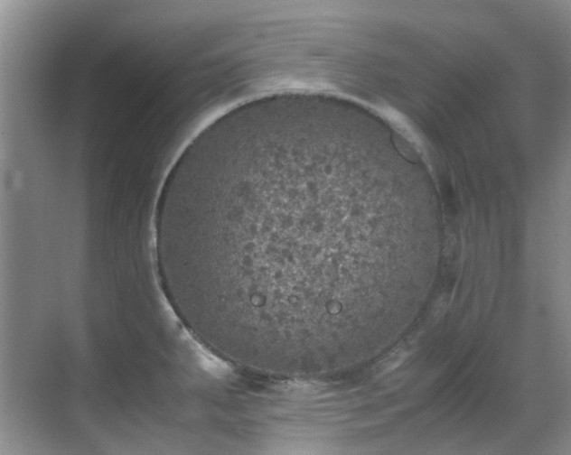 X0000070411287200606121320