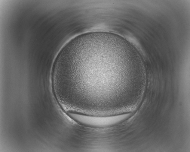 X0000070411288200606121320