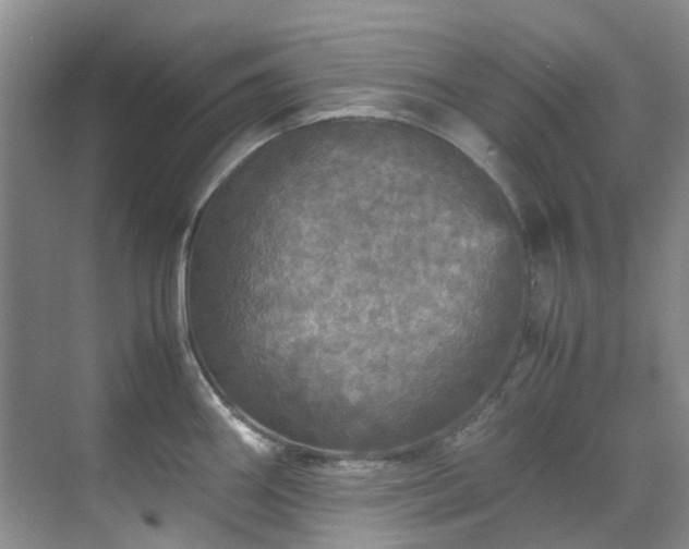 X0000070411290200606121320