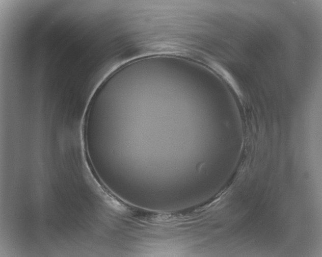 X0000070411291200606121320