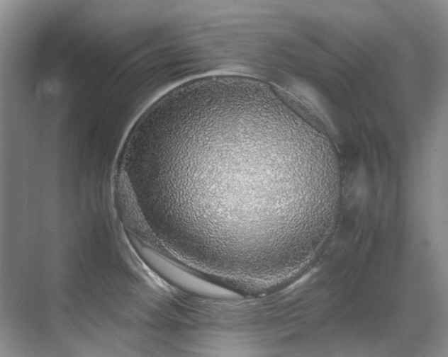 X0000070411292200606121320