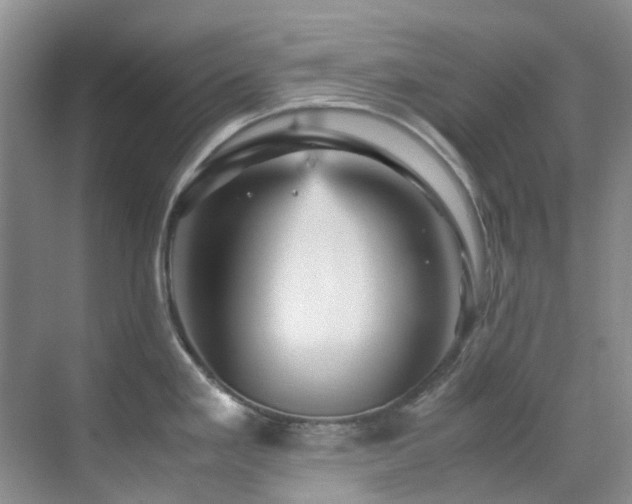 X0000070411293200606121320