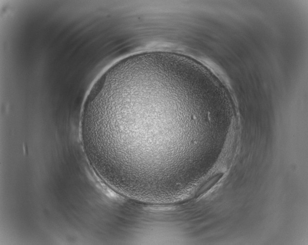 X0000070411296200606121320