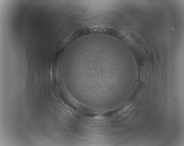 X0000070411298200606121319