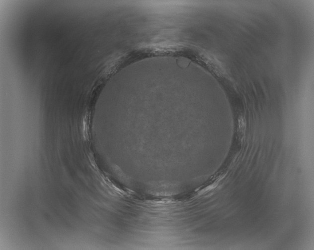 X0000070411300200606121319