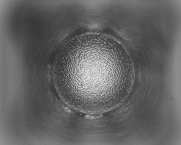 X0000070411301200606121319