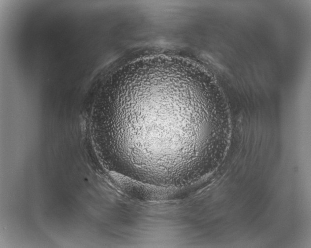 X0000070411302200606121319