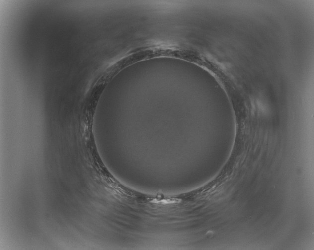 X0000070411303200606121319