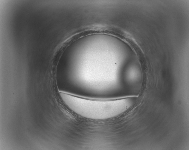 X0000070411304200606121319