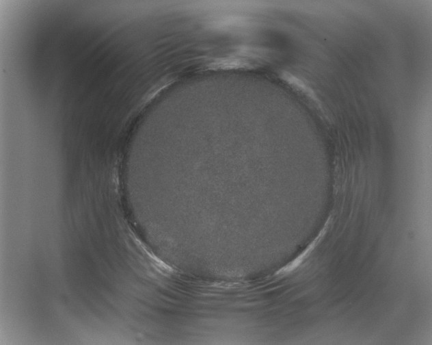 X0000070411305200606121319