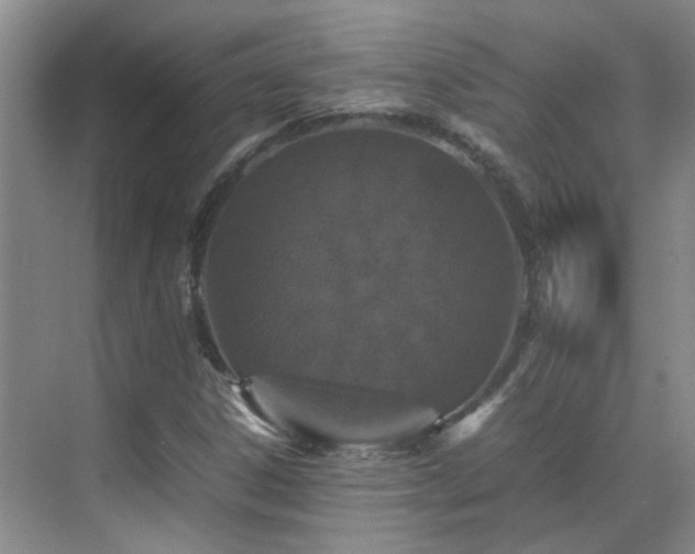 X0000070411306200606121319