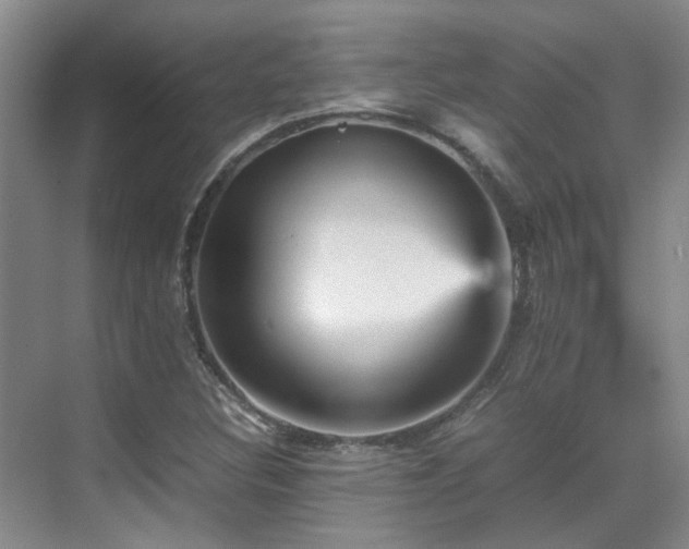 X0000070411308200606121319