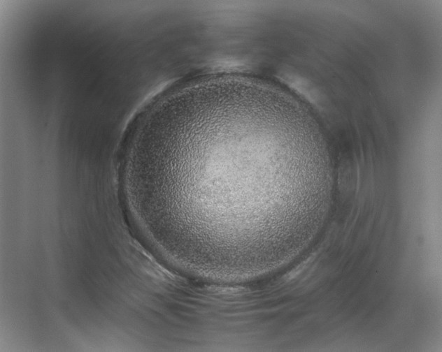 X0000070411309200606121319