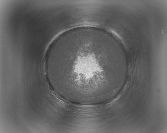 X0000070411310200606121319