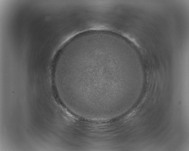 X0000070411311200606121319