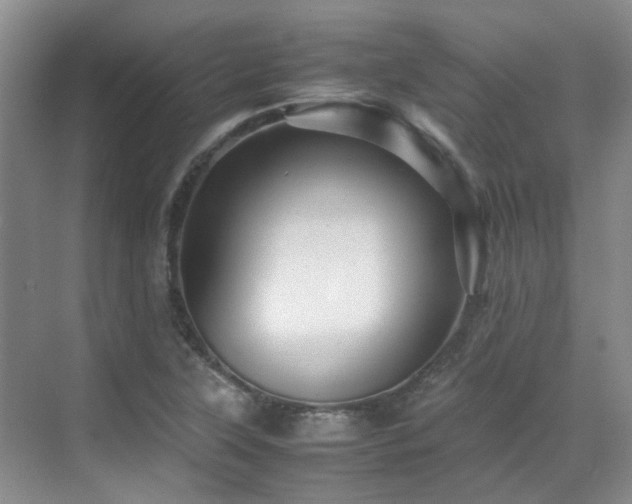 X0000070411315200606121319