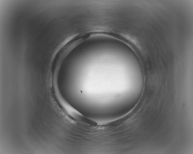 X0000070411317200606121319