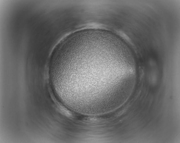 X0000070411318200606121319