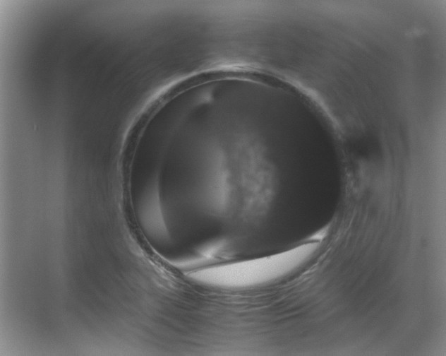 X0000070411319200606121319