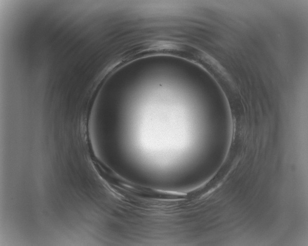 X0000070411321200606121319