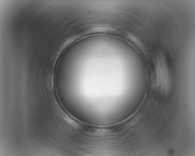 X0000070411322200606121319