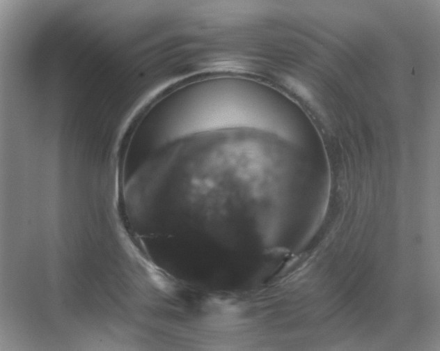 X0000070411323200606121319