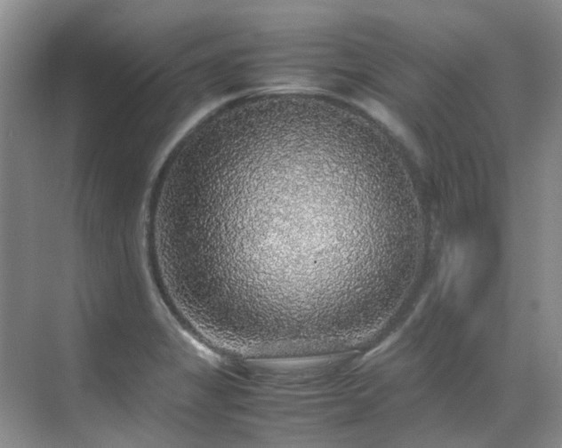 X0000070411325200606121319