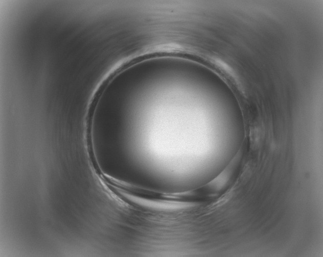 X0000070411326200606121320