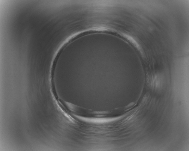 X0000070411327200606121320