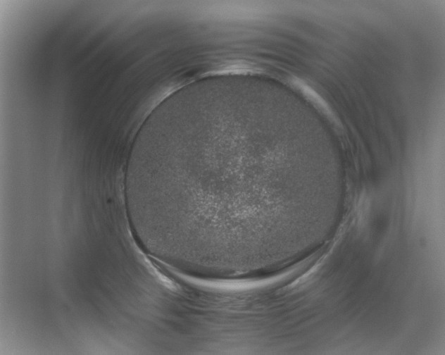 X0000070411329200606121320