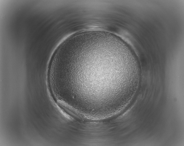 X0000070411333200606121320