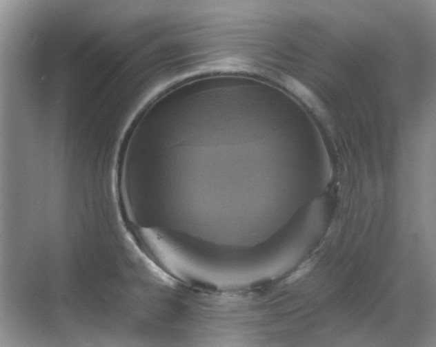 X0000070411334200606121320