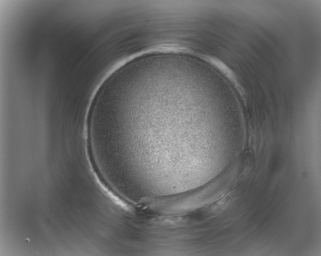 X0000070411335200606121320